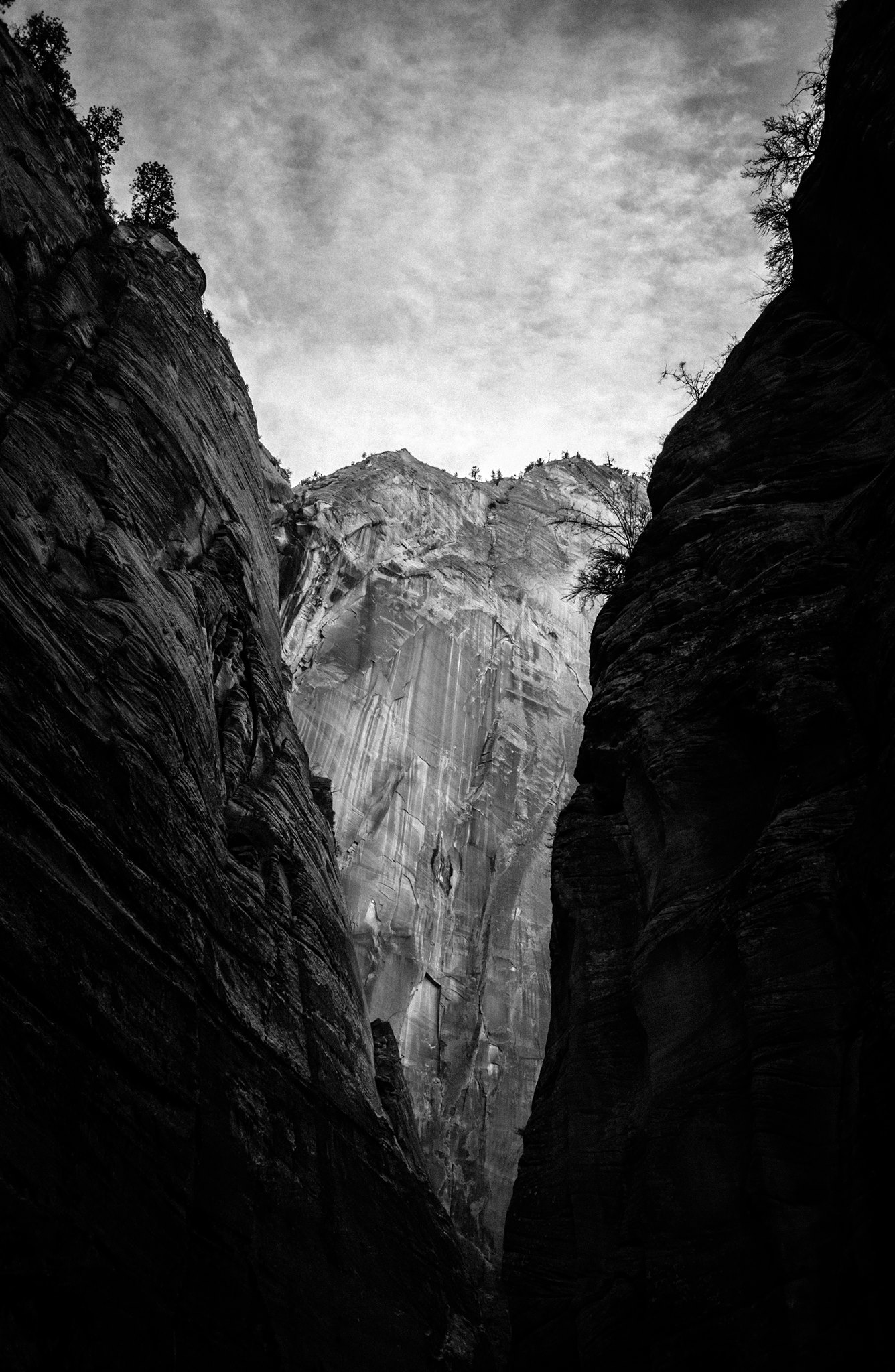 ZION – 2015