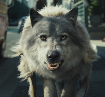 PREYMAKER / WOLF